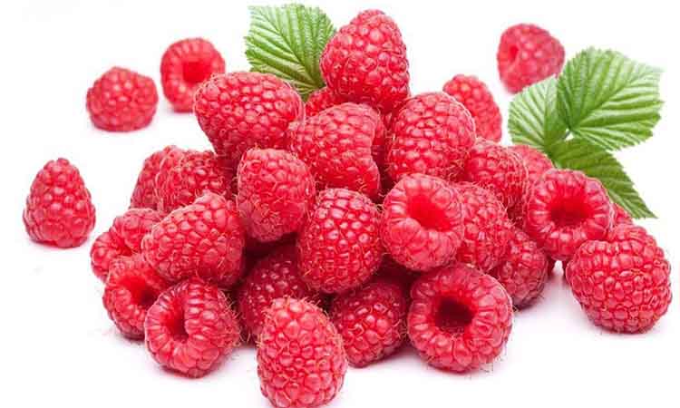 manfaat raspberry untuk kulit