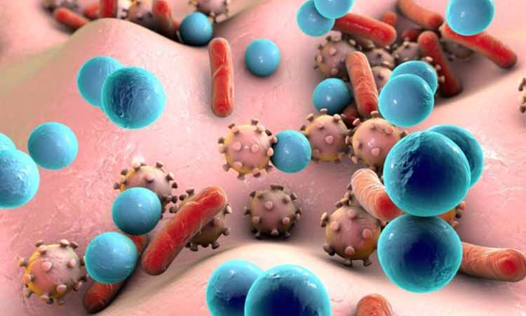 Penyakit Kulit Akibat Bakteri