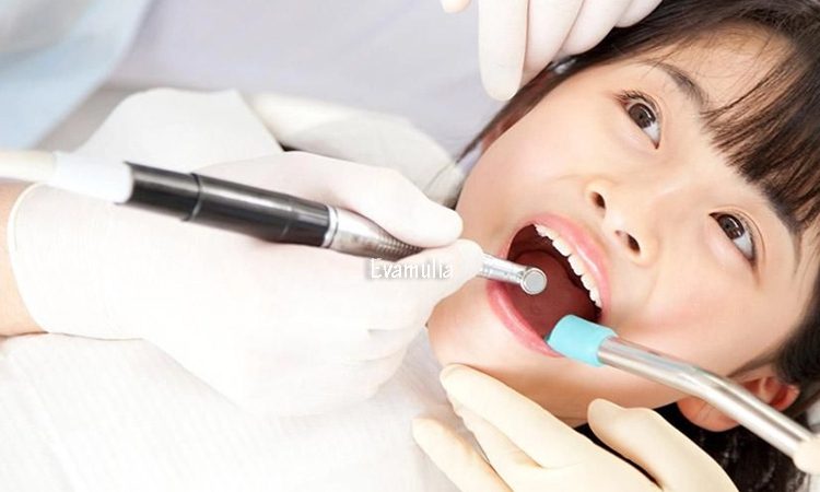 Eva Mulia - Klinik Evamulia - Perawatan Tubuh - Perawatan Pulpotomi Untuk Gigi - Menjaga serta merawat kesehatan gigi perlu dilakukan. Selain dengan cara sederhana seperti menyikat gigi setiap hari, hingga secara berkala datang ke dokter gigi untuk menjaga kesehatan dan kebersihat mulut dan gigi.